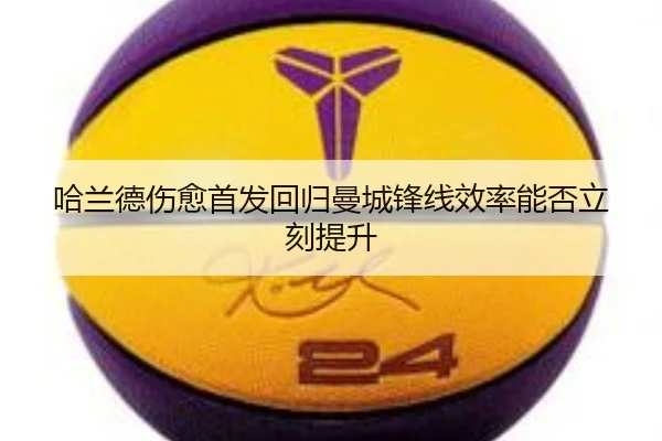 img_1787673524352_4525_0_454.jpg